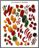 Peppers Framed Canvas Print
