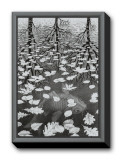 Three Worlds Framed Canvas Print by M. C. Escher
