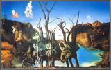 Reflections of Elephants Framed Canvas Print by Salvador Dalí