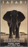 Serengeti Framed Canvas Print by Steve Forney