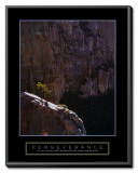 Perseverance: Lone Pinyon Tree Framed Canvas Print