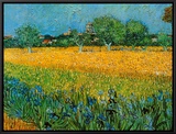 View of Arles with Irises Framed Canvas Print