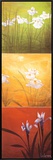 Karma Framed Canvas Print by Don Li-Leger
