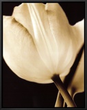 Radiance I Framed Canvas Print by Cinzia Ryan