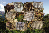 Dinosaur Facts Poster
