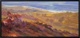 Hilltop I Framed Canvas Print by Rick Delanty