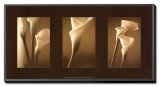 Enlightenment Framed Canvas Print by Cinzia Ryan