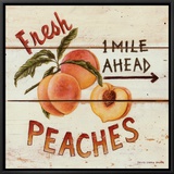 Fresh Peaches Framed Canvas Print by David Carter Brown