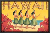 Hawaii Framed Canvas Print
