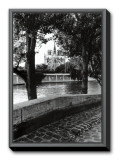 Notre-Dame, Paris Framed Canvas Print by Clay Davidson