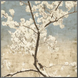 Cherry Blossoms I Framed Canvas Print by John Seba