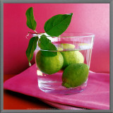 Citrons Verts Framed Canvas Print by Amelie Vuillon