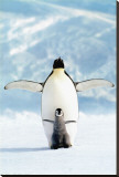 Penguin and Chick Stretched Canvas Print by Charles Prendergast