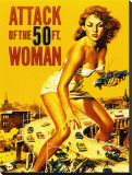 Attack of the 50 Foot Woman Stretched Canvas Print
