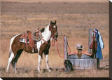 Cowgirl in Heaven Stretched Canvas Print by David R. Stoecklein