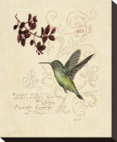 Filigree Hummingbird Stretched Canvas Print by Chad Barrett