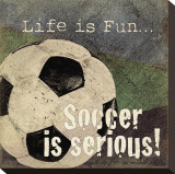 Soccer Stretched Canvas Print by Jo Moulton