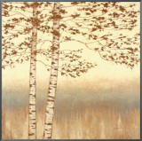 Birch Silhouette I Framed Canvas Print