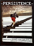 Persistence Framed Canvas Print