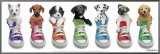 Sneaker Pup Line-Up Framed Canvas Print by Keith Kimberlin