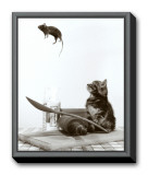 Cat and Mouse Framed Canvas Print