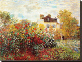The Artist's Garden in Argenteuil Stretched Canvas Print by Claude Monet