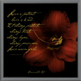 Love Framed Canvas Print by Patti Socci