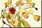Tulip Toss Stretched Canvas Print by Shirley Novak