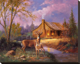 Deer Near Cabin Stretched Canvas Print by M. Caroselli
