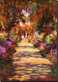 Il Viale del Gardino Stretched Canvas Print by Claude Monet