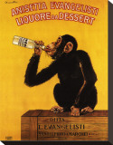 Anissetta Evangelisti, Liquore Da Dessert Stretched Canvas Print