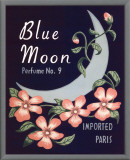 Blue Moon Impressão em tela emoldurada por Louise Max Blue Moon Impressão em tela emoldurada por Louise Max