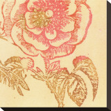 Coral Rose Stretched Canvas Print by Swan Papel