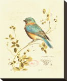 Gilded Songbird IV Stretched Canvas Print by Chad Barrett