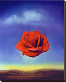 Rose Medidative, c.1958 Impressão em tela esticada por Salvador Dalí Rose Medidative, c.1958 Impressão em tela esticada por Salvador Dalí