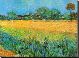 View of Arles with Irises Stretched Canvas Print by Vincent van Gogh
