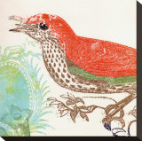 Red Bird Stretched Canvas Print by Swan Papel