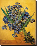 Vase of Irises Against a Yellow Background, c.1890 Stretched Canvas Print by Vincent van Gogh