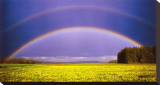 Believe Stretched Canvas Print