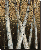 Shimmering Birches I Stretched Canvas Print by Arnie Fisk