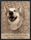 Smile and the World Smiles with You Framed Canvas Print by Jim Dratfield