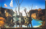 Reflections of Elephants Stretched Canvas Print by Salvador Dalí