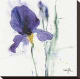 Iris I Stretched Canvas Print by Marthe 