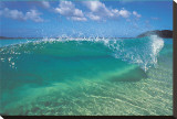 Caribbean Wave Stretched Canvas Print by Woody Woodworth