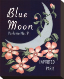Blue Moon Stretched Canvas Print by Louise Max