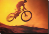 Challenge: Mountain Bike Stretched Canvas Print