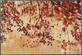 Colorful Season I Framed Canvas Print by Pela & Silverman 