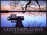 Contemplation Framed Canvas Print