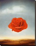 Rose Meditative, c.1958 Impressão em tela esticada por Salvador Dalí Rose Meditative, c.1958 Impressão em tela esticada por Salvador Dalí