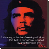 Che Guevara: Revolutionary Stretched Canvas Print